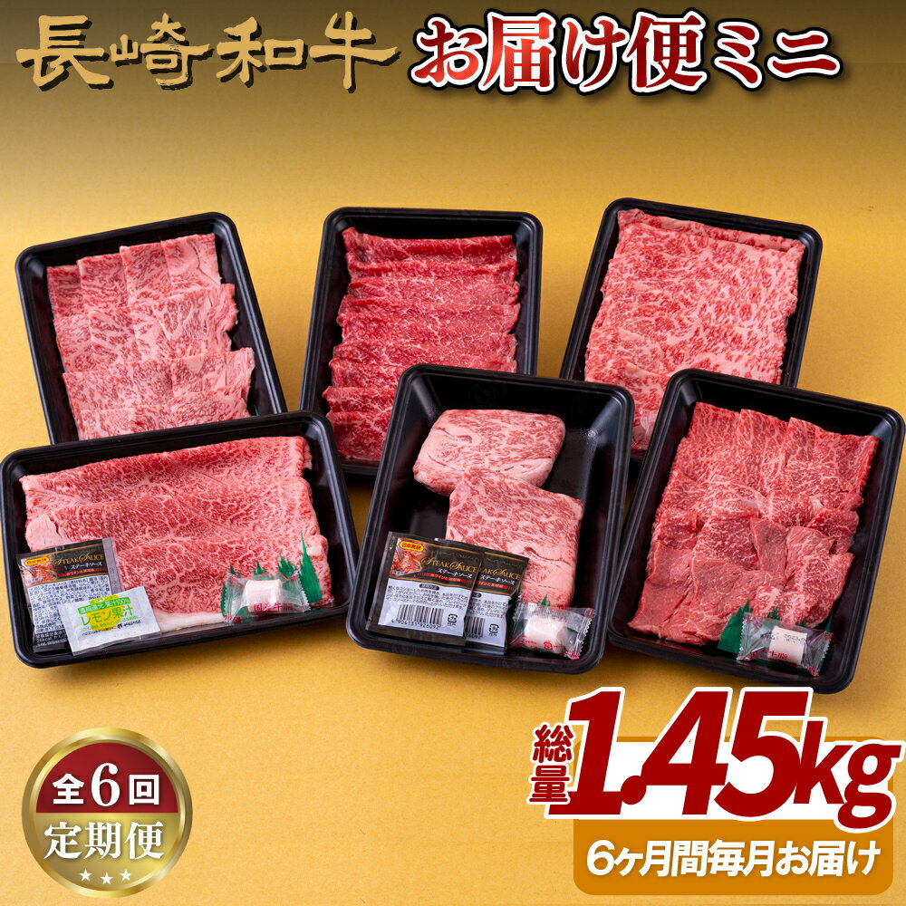 【ふるさと納税】【全6回定期便】長崎和牛 お届け便ミニ (6回)