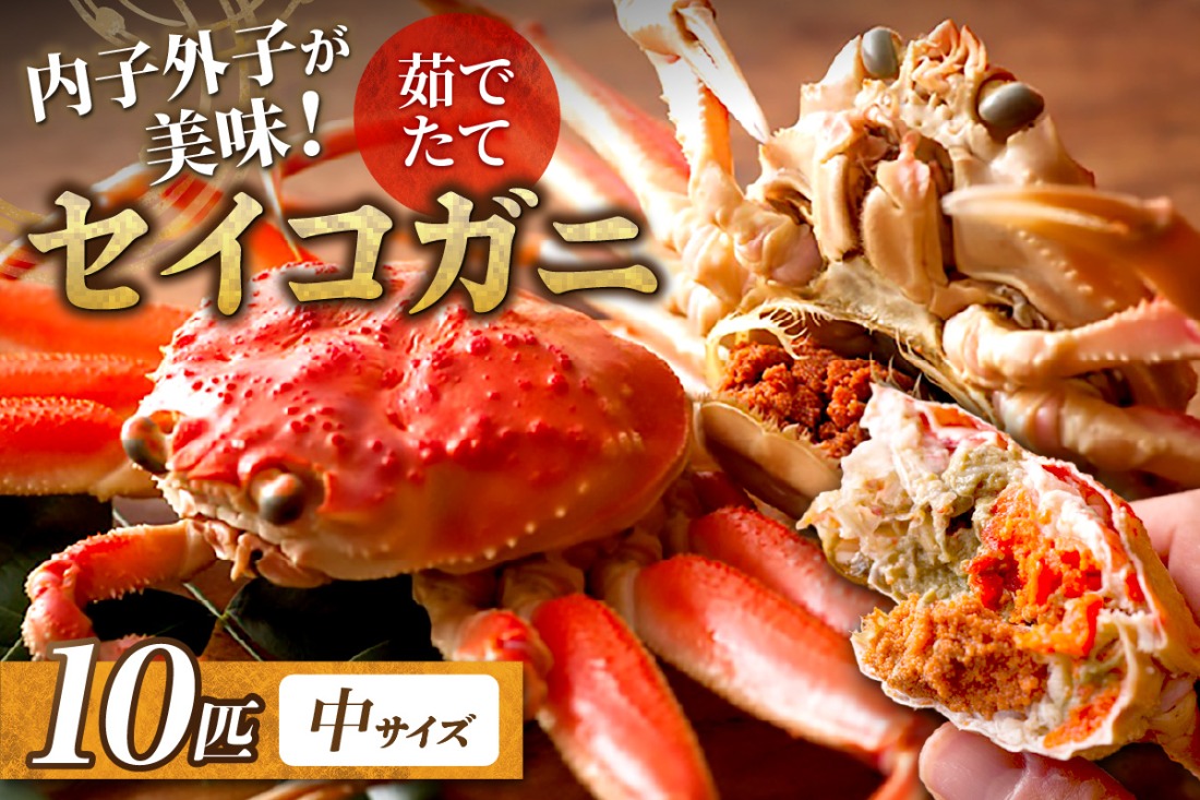 【蟹の匠 魚政】内子外子が美味! 茹でたて セイコガニ（セコ蟹）（香箱ガニ）（こっぺ）中サイズ 10匹セット　UO01386