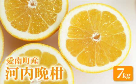 【 先行予約 】 河内晩柑 7kg みかん 愛南ゴールド 和製 グレープフルーツ みかん 蜜柑 柑橘 柑橘類 フルーツ 果物 くだもの 食品 食べ物 お取り寄せ グルメ ジューシーフルーツ 美生柑 生食 ジュース ゼリー ジャム スムージー 旬 愛媛県 愛南町 山口農園