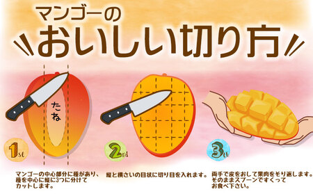生産者応援！！訳ありだが美味しい完熟アップルマンゴー2kg　【2024年発送】農園直送！