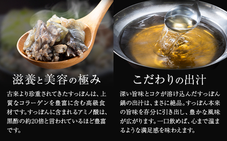 極上 すっぽん 鍋 セット （2～3人前） とらふぐ 活すっぽん料理鍋会席みはし《30日以内に出荷予定(土日祝除く)》