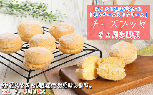 
【定期便４カ月】こだわりの窯焼き「チーズブッセ」１０個入×４ヵ月連続お届け
