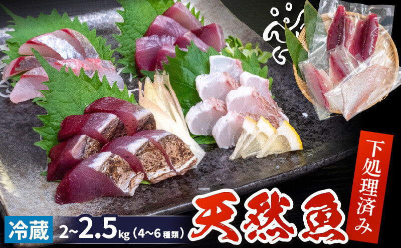 
            天然 鮮魚 詰め合わせ 朝獲れ直送 下処理済み 4~6種入り 2kg～2.5kg 冷蔵 魚種お任せ 水揚げ 海鮮 魚介 産地直送 新鮮 魚 鮮魚ボックス
          