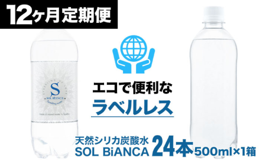 【2月以降発送開始】【全12回定期便】シリカ炭酸水 ソルビアンカ ラベルレス 500ml×24本 日田市 / 株式会社OTOGINO 炭酸 飲料 水 [AREF145]