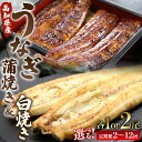 【ふるさと納税】【選べる】うなぎ 蒲焼き＆白焼きセット (無頭) （内容量：各1尾／各2尾）（定期便：2回／3回／6回／12回）- 魚介 国産 海鮮 魚 かばやき 鰻 ウナギ 惣菜 おかず お手軽 しらやき 加工品 加工食品 うなぎ屋きた本 高知県 香南市【冷凍】