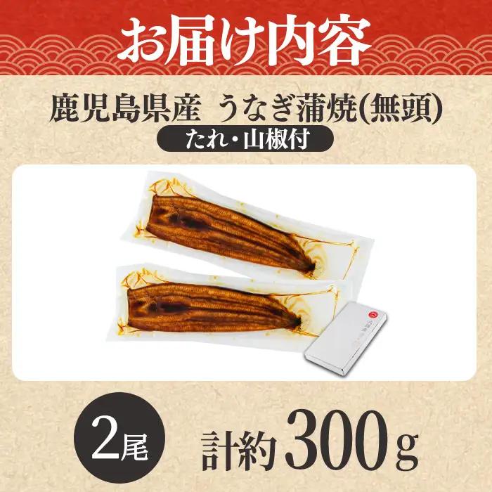 【0104347a-2610】＜10月上旬発送予定＞東串良町のうなぎ蒲焼(無頭)(2尾・計約300g・タレ、山椒付) うなぎ 高級 ウナギ 鰻 国産 蒲焼 蒲焼き たれ 鹿児島 ふるさと 人気 【アク