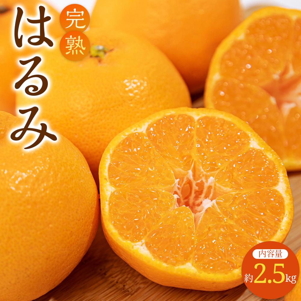 【ふるさと納税】完熟 はるみ 約2.5kg【2027-2月下旬～2027-3月下旬配送】 | 果物 フルーツ 大粒 果肉 甘い 爽やか みかん 柑橘 デザート スイーツ 産地直送 人気 おすすめ お取り寄せ お取り寄せグルメ