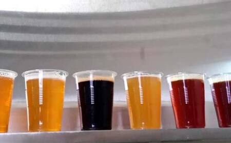 ISHII BREWING見学＆Craft beerテイスティング（おつまみ付）【 クラフトビール お酒 栃木県 足利市 】  F7Z-1443