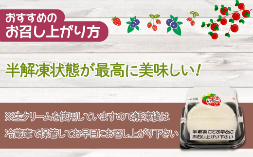 北海道産 フルーツたっぷり使用！生クリーム大福10個セット  TYUN041