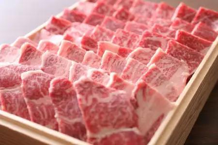 飛騨牛 がっつりカルビ 焼肉 500g [EN103] カルビ