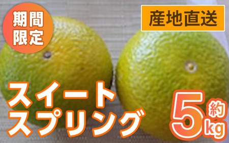 i986 ＜2024年12月上旬から2025年1月にかけて発送予定！＞スイートスプリング(約5kg) みかん スイートスプリング 柑橘 果物 くだもの フルーツ 旬 ミカン オレンジ 数量限定 期間限定 【アーステクノ】