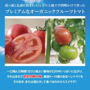 【2026年2月より順次発送】★フルーツトマト★KISSトマト 2箱|トマト とまと フルーツ フルーツトマト KISSトマト 先行予約 茨城県 行方市(AC-2)