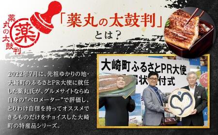 数量限定【薬丸の太鼓判】鹿児島県産うなぎ長蒲焼特大2尾（220g以上2尾）｜希少 うなぎ 鰻 ウナギ 貴重 うなぎ 鰻 ウナギ 太鼓判 うなぎ 鰻 ウナギ グルメ うなぎ 鰻 ウナギ おすすめ うなぎ