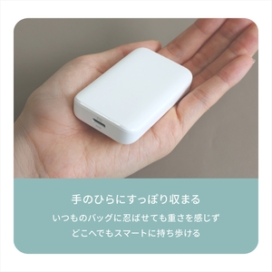Owltech(オウルテック) 薄さ13mm 最大PD36W出力 GaN採用 USB Type-C×1 AC充電器 OEC-APD36C1G-WH ホワイト【 神奈川県 海老名市 】