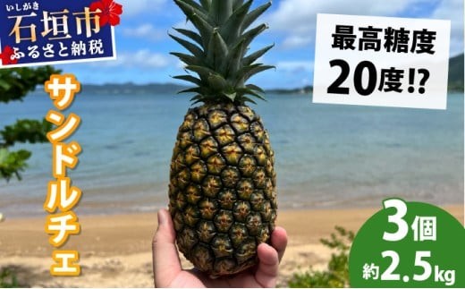 
            【先行予約2026年6月下旬頃から順次発送】最高糖度20度！？クリーミーな味わいが魅力の石垣島産完熟サンドルチェ 3個セット
          