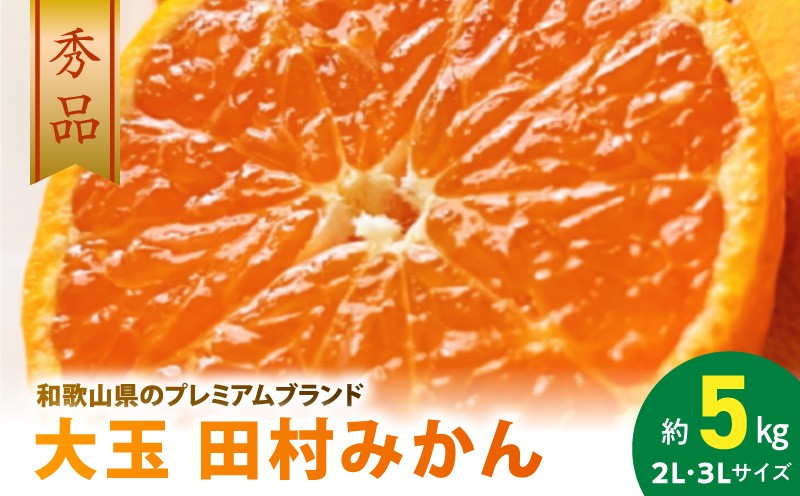 
                  AB7303_【2026年先行予約】大玉田村みかん 2L・3Lサイズ 秀品 約5kg _ 和歌山プレミアムブランドみかん  大粒有 大きい 蜜柑 ミカン フルーツ 果物 ギフト お歳暮
                