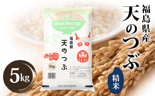 令和7年産米 須賀川市産 天のつぶ精米5kg ブランド米 お米 精米 白米 人気 F7X-0644