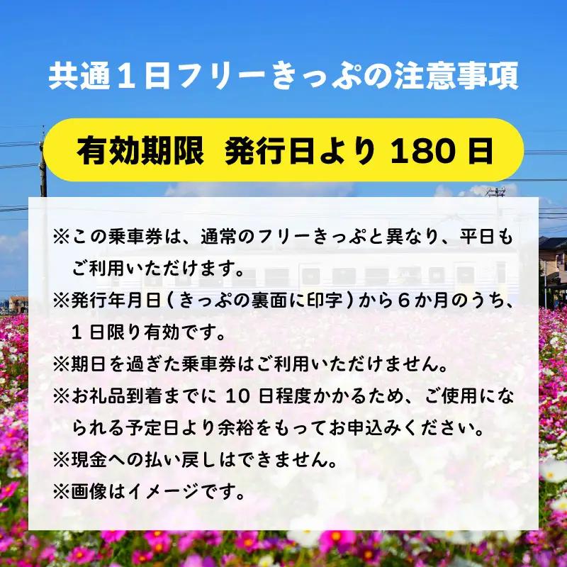 鉄道1日フリーきっぷ えちぜん鉄道・福井鉄道  [A-039004]