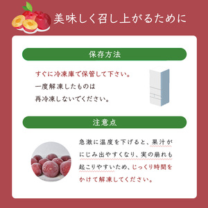 冷凍プラム 500g 冷凍 プラム 果物 くだもの フルーツ 旬の果物 旬のフルーツ 大橋さくらんぼ園 果物類 フルーツ デザート 完熟 急速冷凍 新鮮 美味しい 人気 冷凍配送 北海道 芦別市