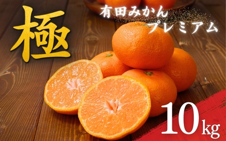 極 有田みかんプレミアム 10kg【糖度12度以上】2S～Lサイズ　※2025年11月下旬頃～2025年12月下旬頃順次発送予定   先行予約 みかん 温州みかん ミカン 小粒 【nuk156C】