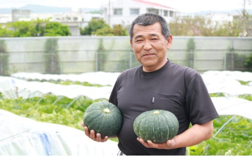 島かぼちゃとちんすこうのベイクドチーズケーキ | 国産 沖縄県産 つかざん完熟カボチャ | ポティロン株式会社 | チーズケーキ ちんすこう | 沖縄 お取り寄せ スイーツ おやつ お菓子 菓子 おか
