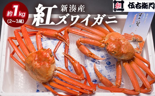 【伍右衛門】新湊産紅ズワイガニ約1kg（2～3尾）
