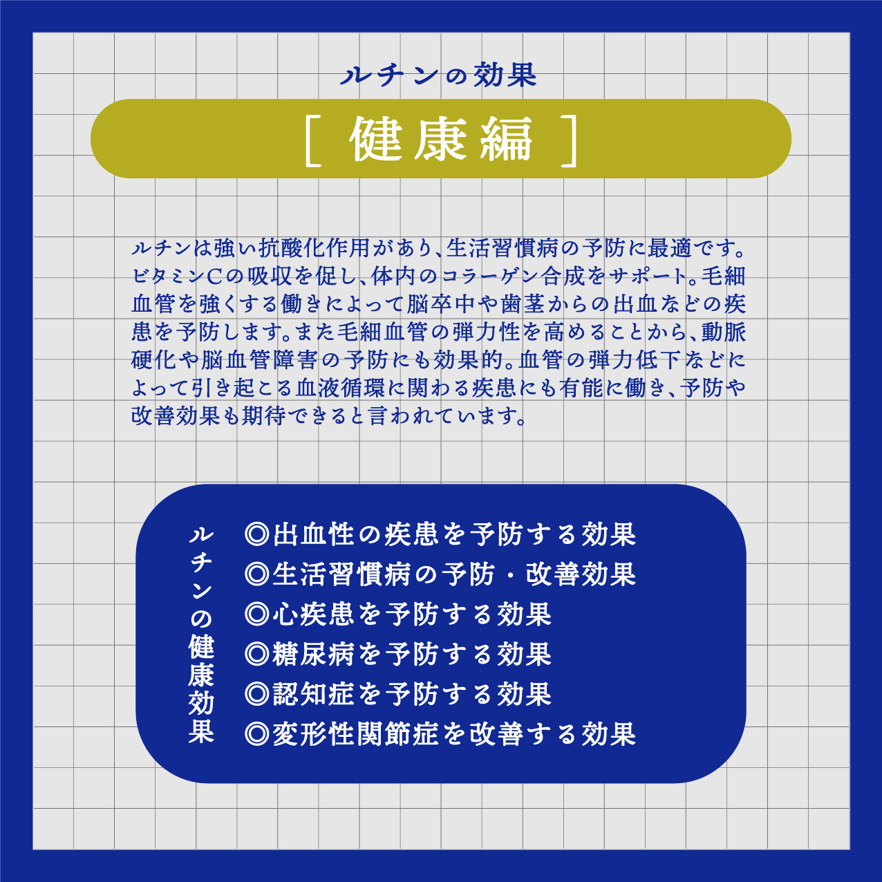 北海道雄武町産　韃靼そば乾麺麺つゆセット(韃靼そば乾麺200g×10　神門のつゆ300ml)【04012】