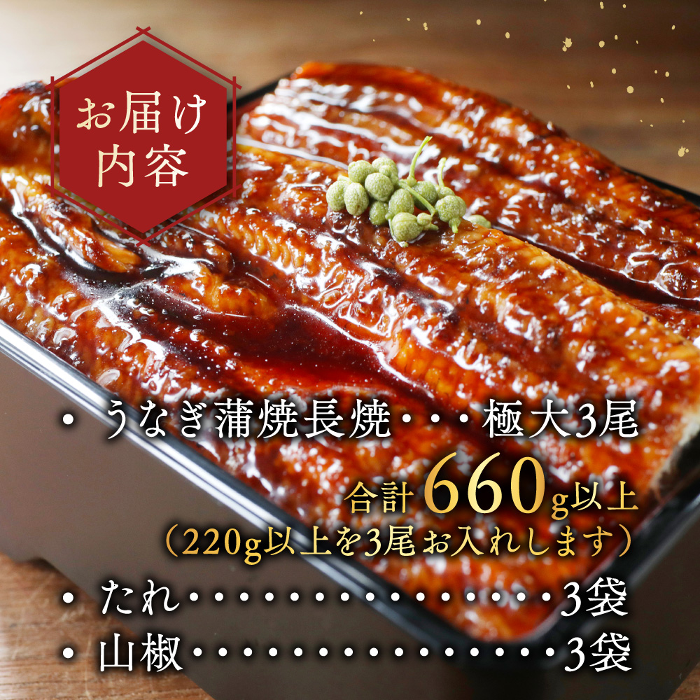 （6月）国産 極大 特上うなぎ(220g×3尾)【OT000OD30_006】_イメージ5