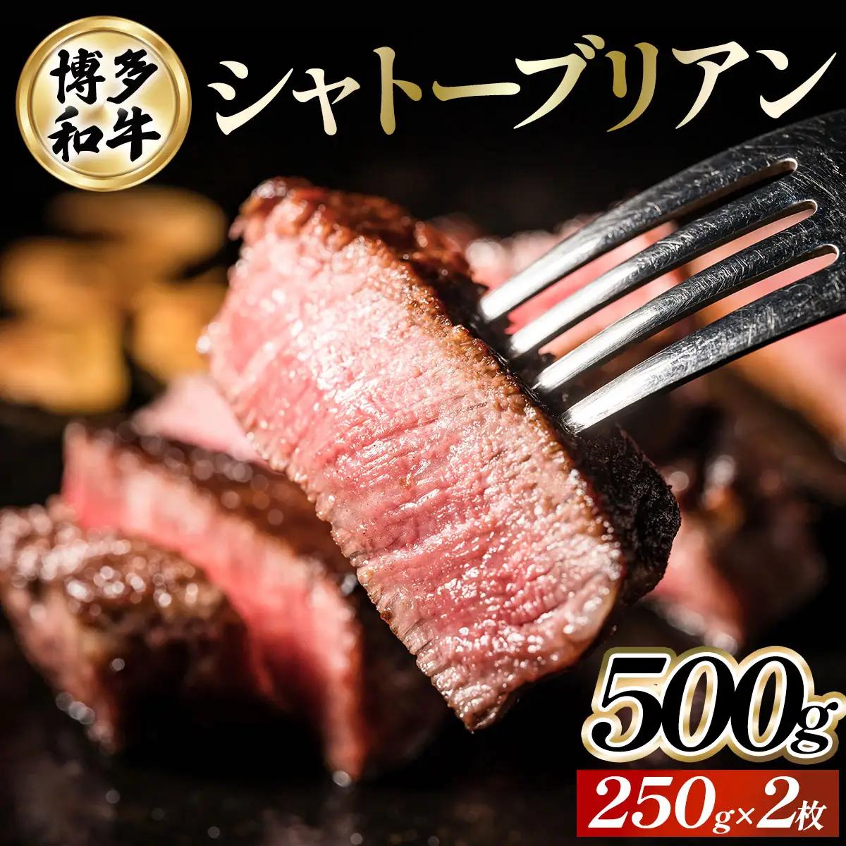 博多和牛シャトーブリアン 250g×2枚