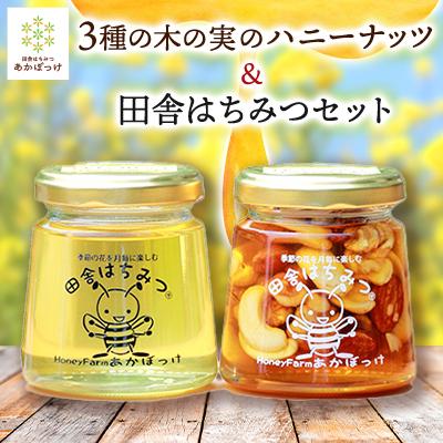 ふるさと納税 五霞町 3種の木の実のハニーナッツ&amp;田舎はちみつセット