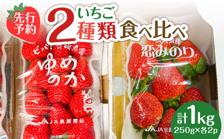 【2026年1月?発送】 いちご 2種食べ比べ 約250g×4P / いちご いちご いちご いちご いちご いちご いちご / 南島原市 / 東南部基幹センター[SAC006]