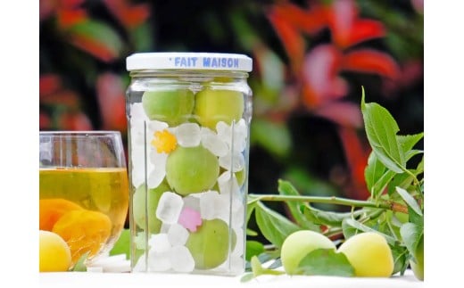 MH142-0003_【ふるさと納税】お家でうめしごと。☆梅シロップkit☆ 秋 旬