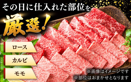 博多和牛焼肉用 500g（王塚古墳のある町桂川町）