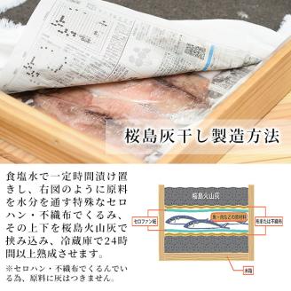 y266 ＜高級手作り干物＞桜島灰干し詰め合わせ！鹿児島県湧水町産にじますの他、季節のお魚を計8袋お届け！ 干物 魚 焼き魚 おかず 晩御飯 晩ごはん 朝食 朝ごはん 朝ご飯 和食 定食 にじます ニ