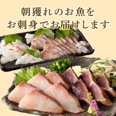 ふるさと納税 延岡市 大和の高級お刺身6人前 |  | 03