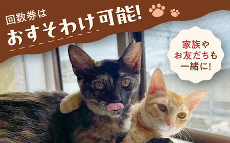 Cherish猫カフェ 回数券（15回分） 猫 ねこ ネコ 保護猫 支援 動物愛護 応援 大阪府高槻市／特定非営利活動Cherish[AODU003]