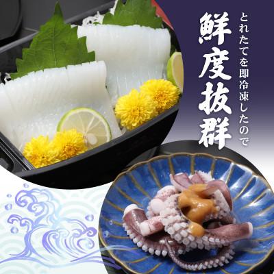 ふるさと納税 美浜町 新鮮で便利!旬のアオリイカ　刺身用開き大3枚　約1.3kg(冷凍) |  | 02