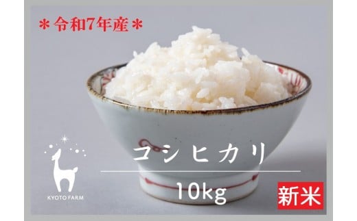 
            【新米先行予約】【京都ファーム】令和7年産 京都ファームのコシヒカリ 精米10kg ［ 京都 京北産 こしひかり 人気 おすすめ 米 コメ おこめ お取り寄せ 通販 送料無料 ふるさと納税 ］
          