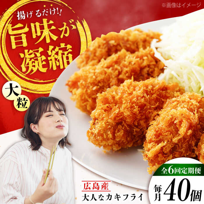 【ふるさと納税】【全6回定期便】こだわり大粒の『大人なカキフライ』【瞬間冷凍】40個入り 【瞬間冷凍】『大人なカキフライ』魚介類 海鮮 牡蠣 むき身 冷凍 かき カキフライ カキ ギフト 広島県産 人気 送料無料 江田島市/有限会社マルイチ水産[XCU009]