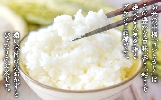6ヶ月連続でお届けします！