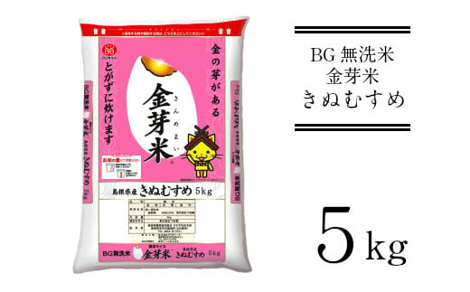 BG無洗米・金芽米きぬむすめ 5kg 計量カップ無し【  新米 令和6年産 節水 低カロリー 健康】