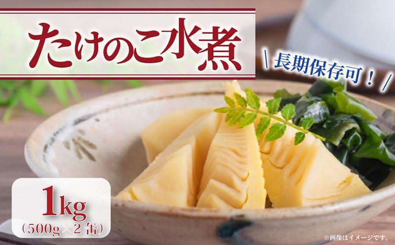 
                  京都山城産たけのこ水煮 缶詰 1kg(2缶) たけのこ 水煮 惣菜 国産 京都産たけのこ お惣菜 おかず たけのこ水煮 缶詰め タケノコ 筍 竹の子 京たけのこ 和惣菜 お弁当 副菜 おつまみ 京野菜 野菜 白子筍 山城筍 炊き込みご飯 煮物 簡単調理 常温保存 時短 和食 食事 お中元 お歳暮 まるやま食品 京都 京都府 井手 井手町
                