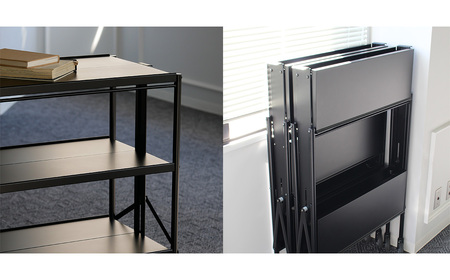 No.534 シャリエワゴンハイ2段式