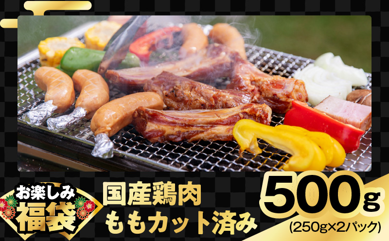 お楽しみ福袋 4種 2kgセット（牛肉 切り落とし／牛ハラミ／豚肉 スペアリブ／鶏肉）【氷温熟成×極味付け 焼肉 焼くだけ 食べ比べ お楽しみ 簡単調理 期間限定】 mrz0090