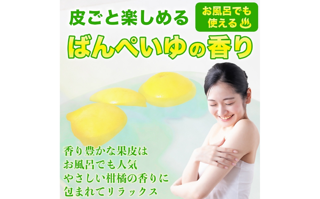 晩白柚2Lサイズ2玉約4kg