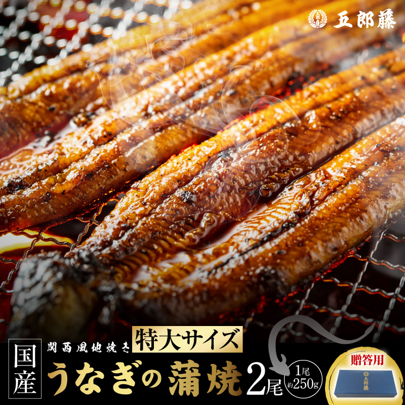 【贈答用】五郎藤 関西風地焼き 国産有頭旨鰻 250g×2尾 計約500g 特大 うなぎ ウナギ 蒲焼き 炭火 015B754