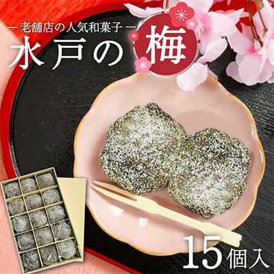 ふるさと納税 水戸市 水戸の梅 15個入