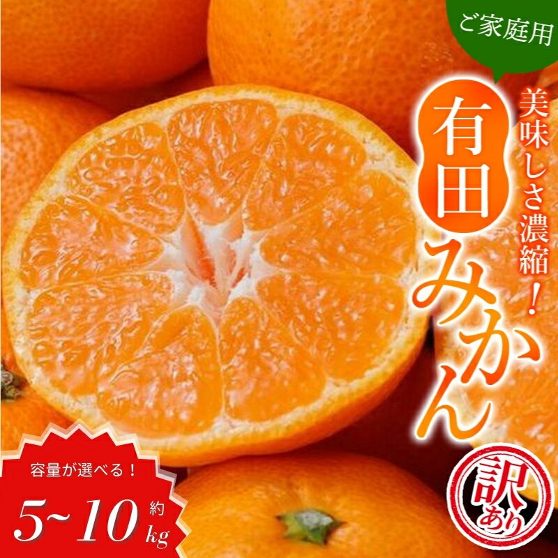 【ふるさと納税】【訳あり】農家直送 有田みかん 約5kg 約7.5kg 約10kg ※2025年11月中旬より順次発送予定 （お届け日指定不可） / ご家庭用 自宅用 訳ありみかん 農家直送 サイズ混合 有機質肥料100%