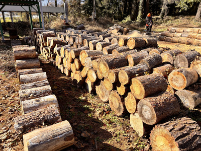 薪 信州産 松の薪 薪1箱 約20キロ×5箱 合計100キロ 薪長さ：35cm【044-10】