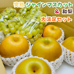 ［先行予約・2026年発送］朝採れ完熟シャインマスカットと和梨 大満足セット 約4kg